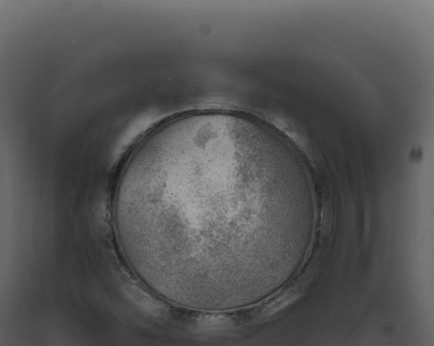 X0000093501454200710191239