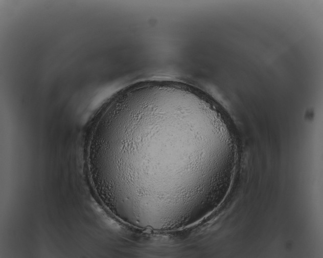 X0000093501456200710191239