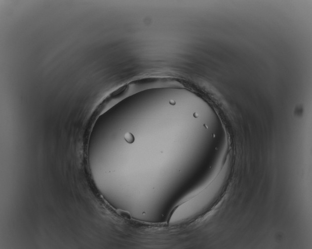 X0000093501457200710191239