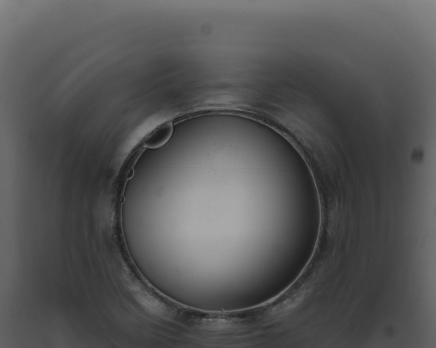 X0000093501458200710191239