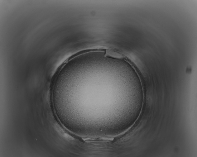 X0000093501460200710191239