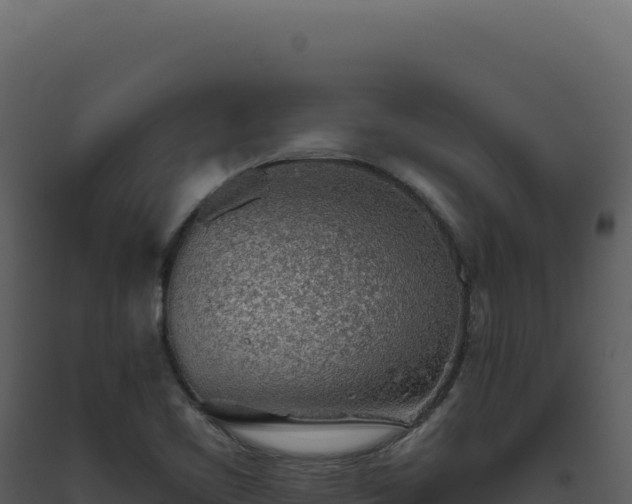 X0000093501461200710191238