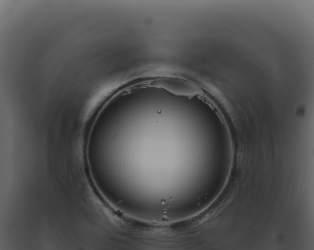 X0000093501464200710191238