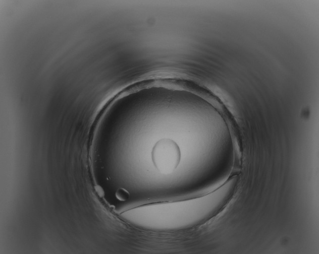 X0000093501465200710191238