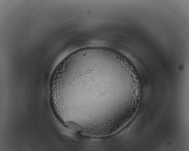 X0000093501467200710191238