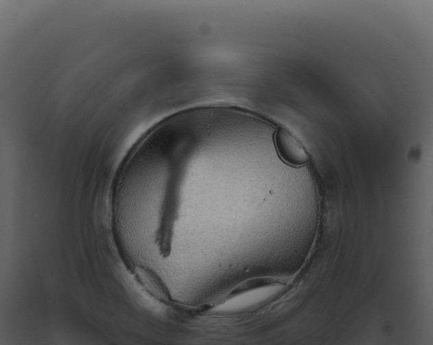 X0000093501468200710191238