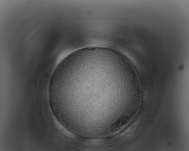 X0000093501471200710191238