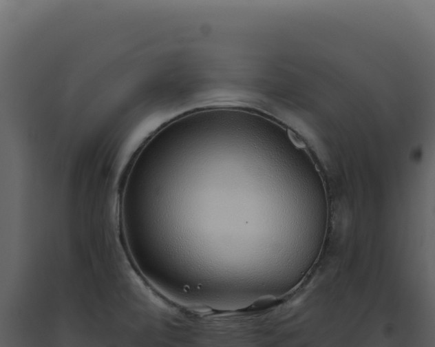 X0000093501472200710191238