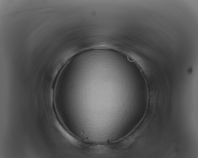 X0000093501476200710191238