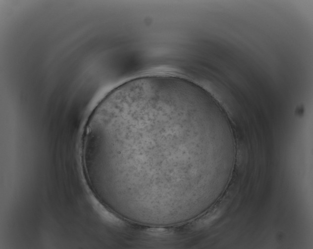 X0000093501478200710191238