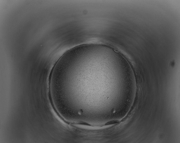 X0000093501479200710191238