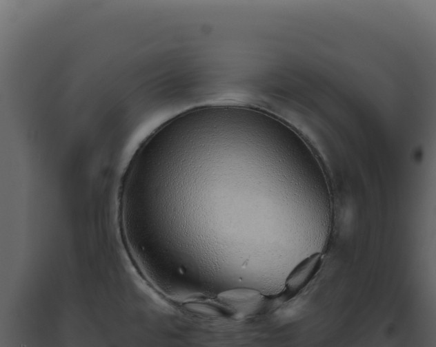 X0000093501480200710191238