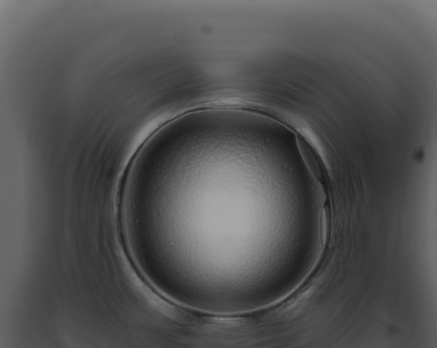 X0000093501483200710191238