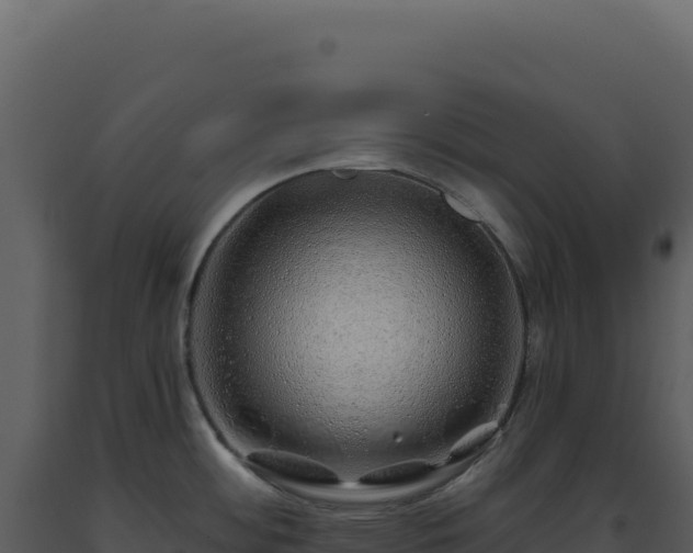 X0000093501484200710191238
