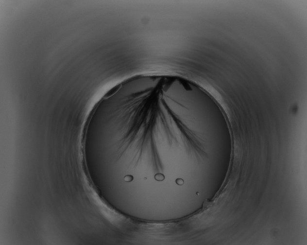 X0000093501485200710191238