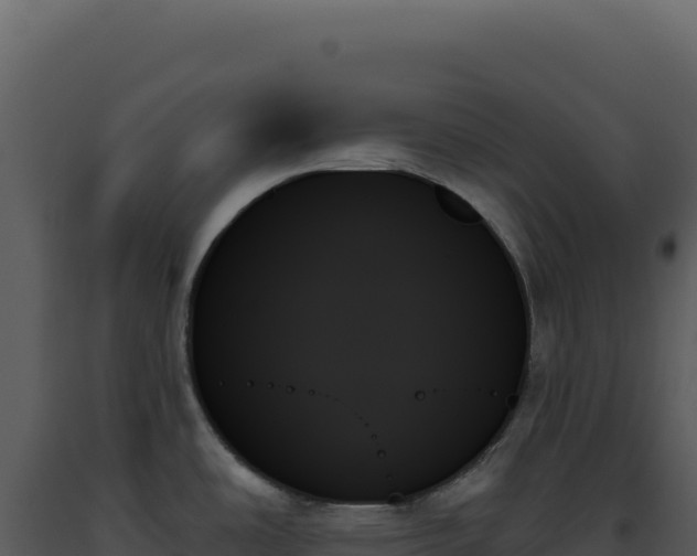 X0000093501486200710191238