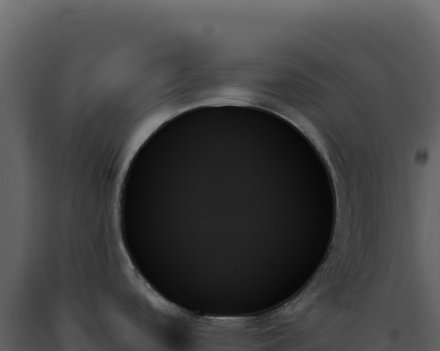 X0000093501488200710191238