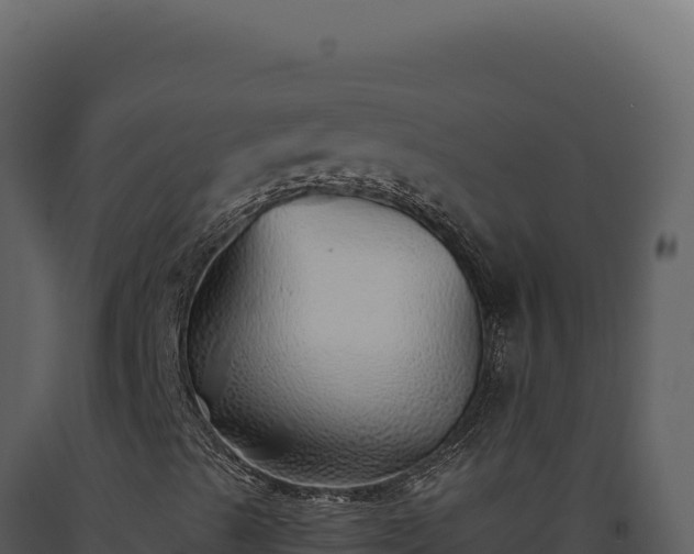 X0000093501489200710191237