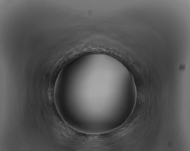 X0000093501490200710191237