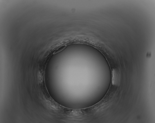 X0000093501491200710191237