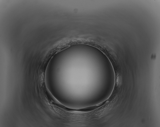 X0000093501492200710191237