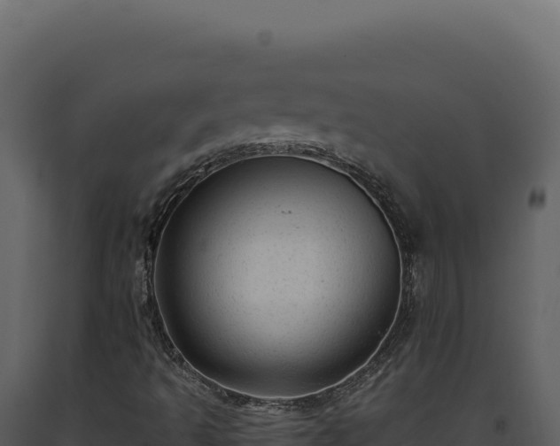 X0000093501493200710191237
