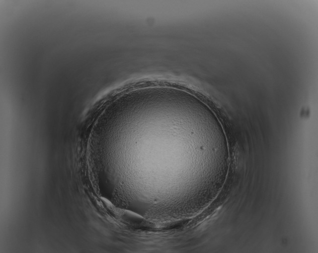 X0000093501494200710191237