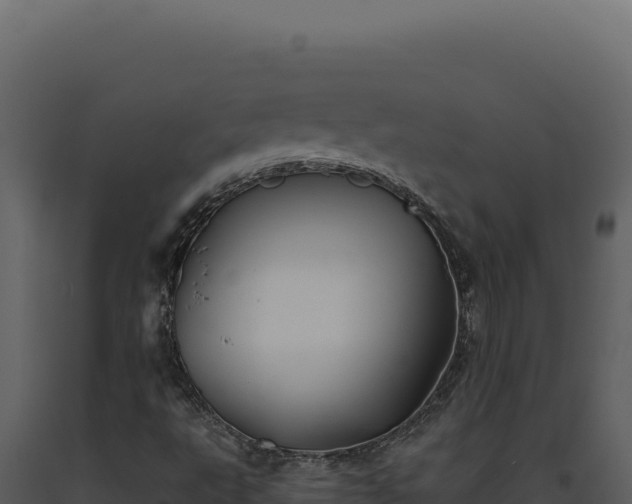 X0000093501495200710191237