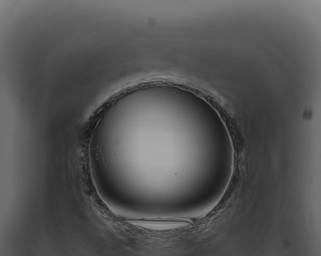X0000093501496200710191237