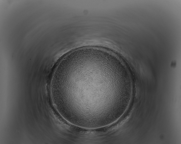 X0000093501497200710191237