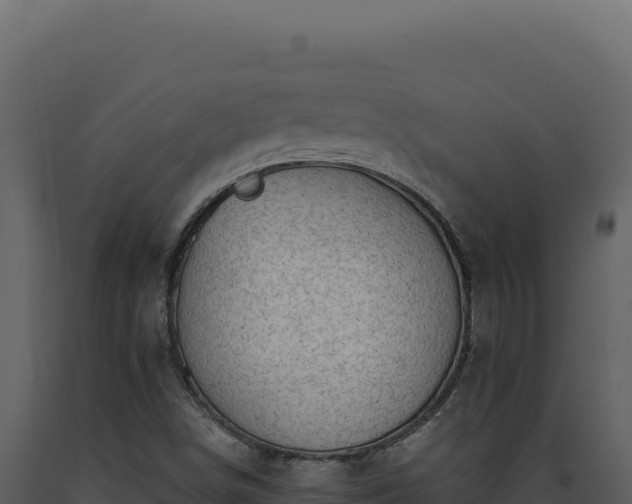 X0000093501498200710191238