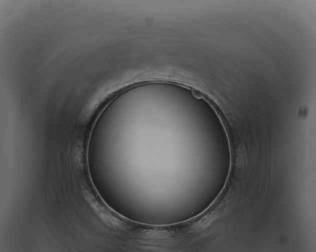 X0000093501499200710191238