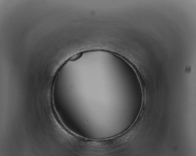 X0000093501500200710191238