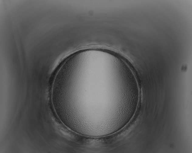 X0000093501501200710191238