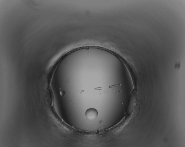 X0000093501502200710191238