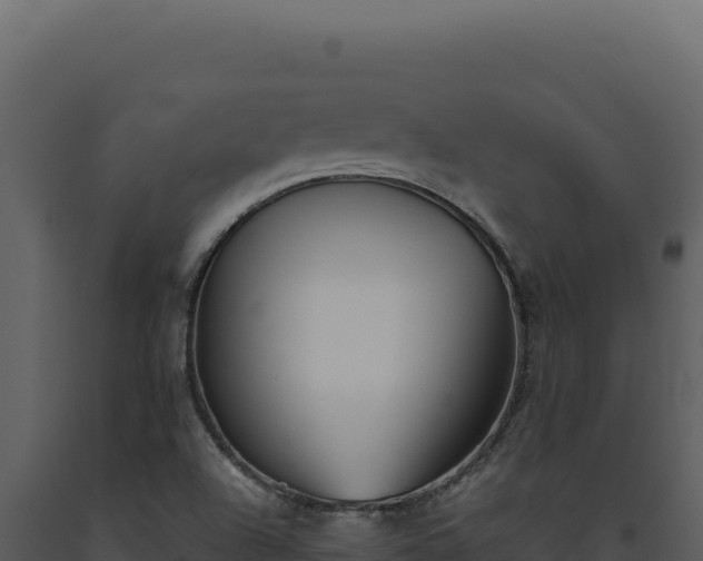 X0000093501504200710191238