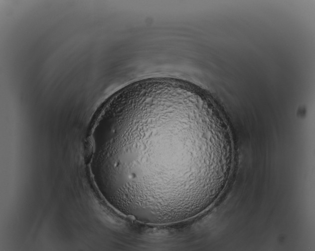 X0000093501505200710191238