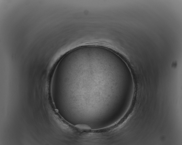 X0000093501506200710191238