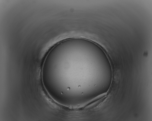 X0000093501507200710191238