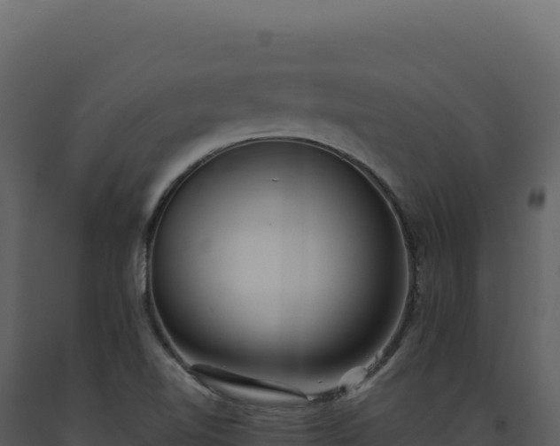 X0000093501510200710191238