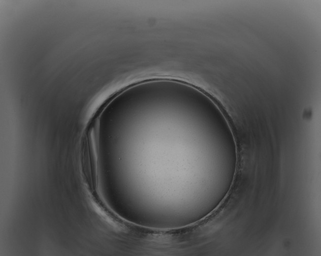 X0000093501511200710191238