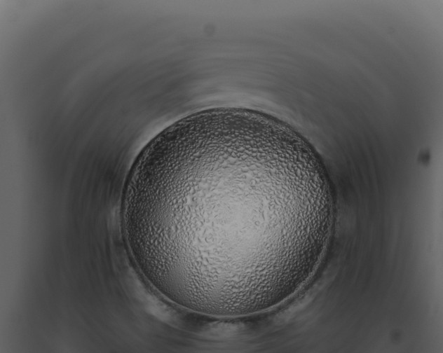X0000093501513200710191238