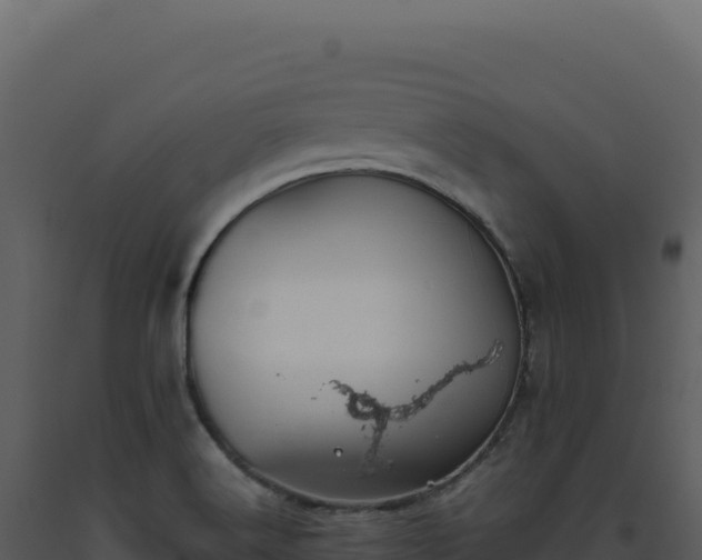 X0000093501516200710191238