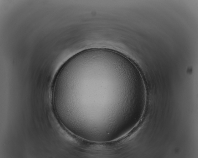 X0000093501517200710191238