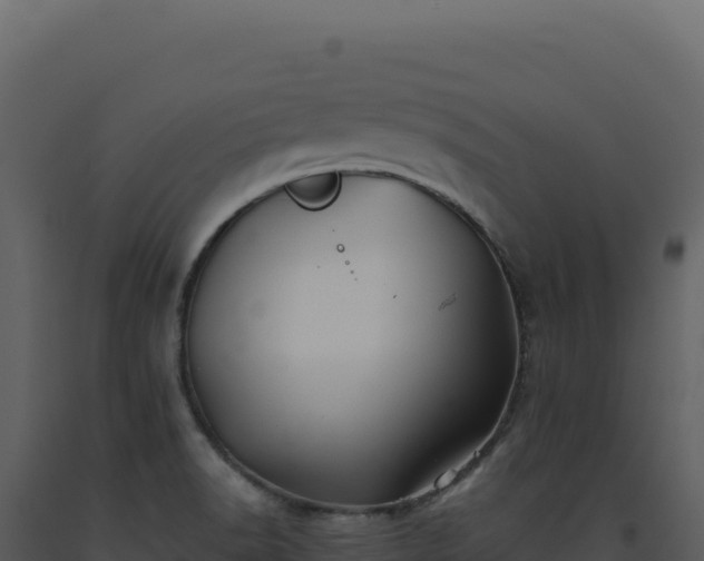 X0000093501518200710191238