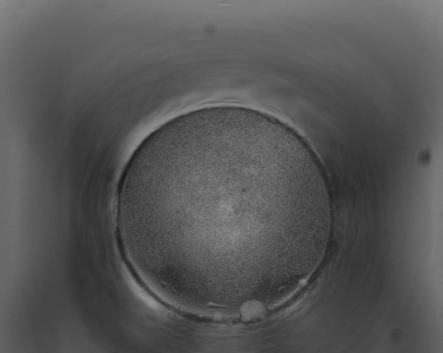 X0000093501519200710191238