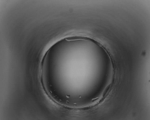 X0000093501520200710191238