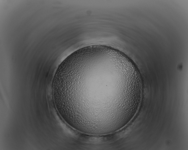 X0000093501521200710191238