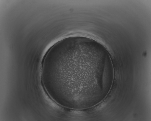 X0000093501522200710191238