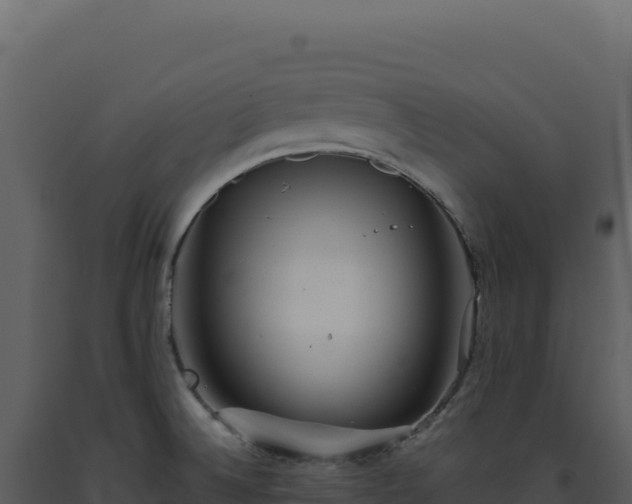 X0000093501524200710191238